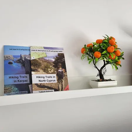 Apartament Summer Terrace 26 *