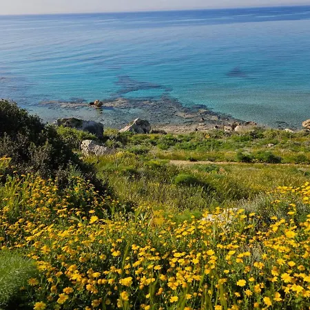 Summer Terrace 26 Apartment *