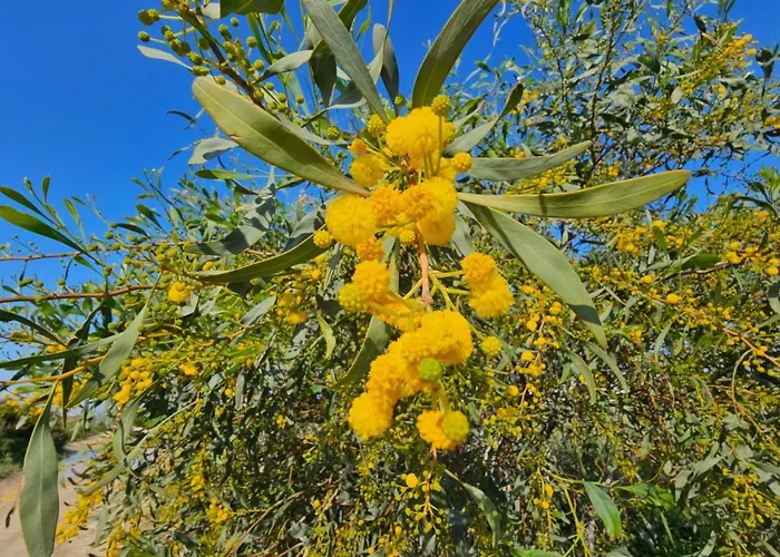 Summer Terrace 26 Gastria