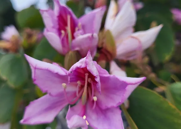 Summer Terrace 26 Appartement *