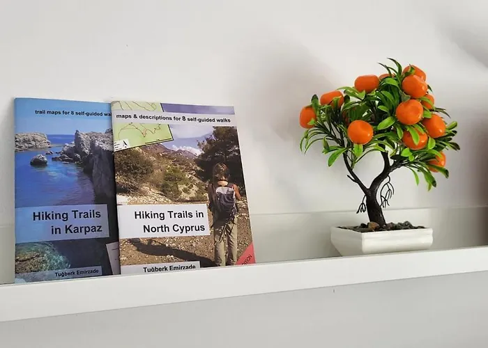 Διαμέρισμα Summer Terrace 26 *