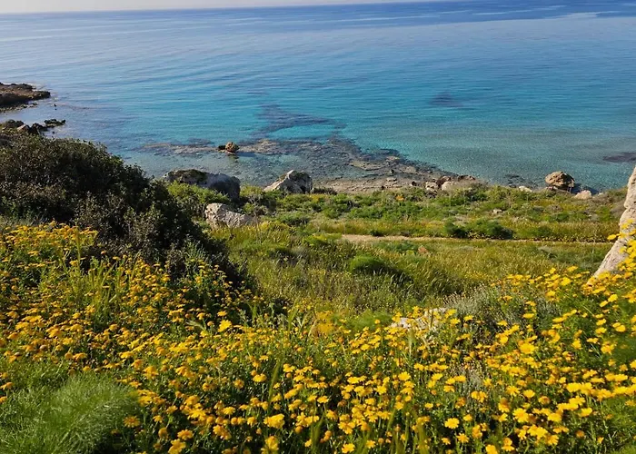 Summer Terrace 26 Διαμέρισμα *